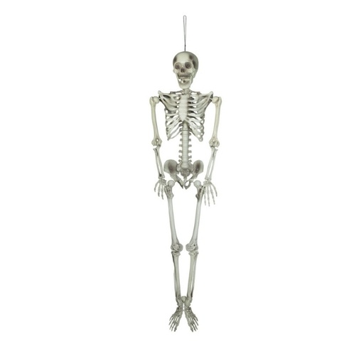 Skeleton - 150 cm