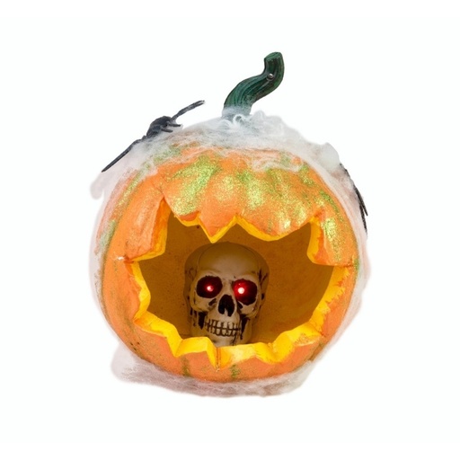 Buča v pajkovi mreži - 25 x 25 cm